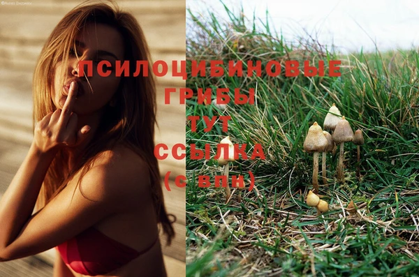 дистиллят марихуана Абаза