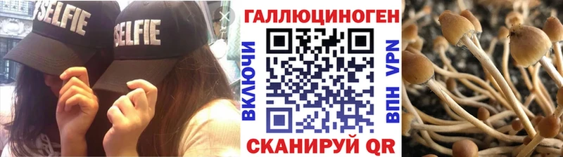 наркошоп Бобров Галлюциногенные грибы Cubensis